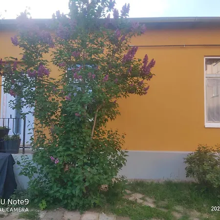 In Zentrum Apartmán Schwerin (Mecklenburg-Vorpommern)